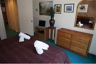 Snowbird Condos At Mammoths Canyon Lodge Mammoth Lakes Apartment