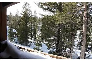 Snowbird Condos At Mammoths Canyon Lodge Mammoth Lakes Apartment